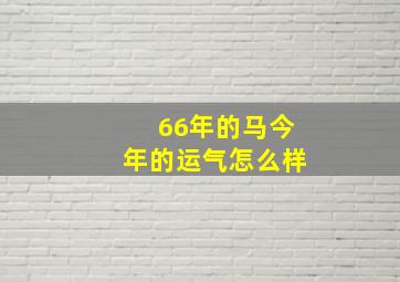 66年的马今年的运气怎么样