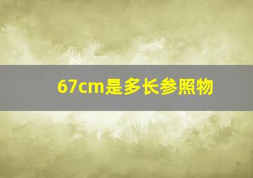 67cm是多长参照物