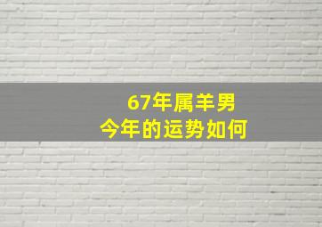 67年属羊男今年的运势如何