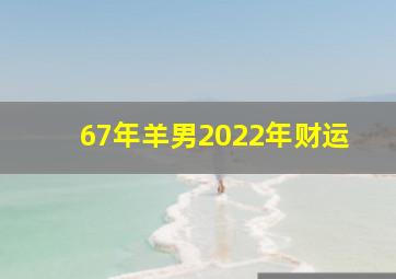 67年羊男2022年财运