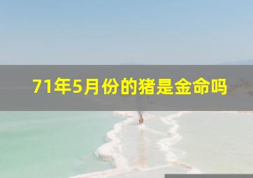 71年5月份的猪是金命吗