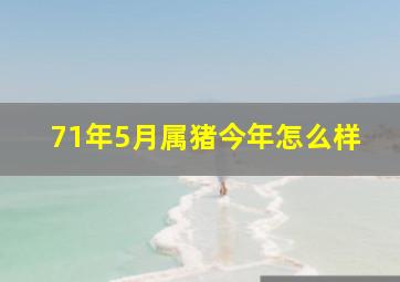 71年5月属猪今年怎么样