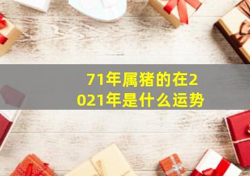 71年属猪的在2021年是什么运势