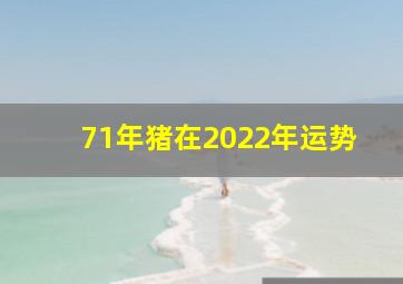 71年猪在2022年运势