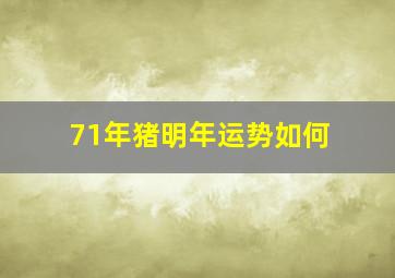 71年猪明年运势如何