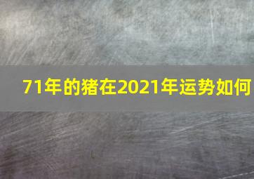 71年的猪在2021年运势如何