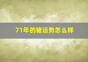 71年的猪运势怎么样