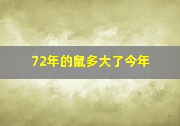 72年的鼠多大了今年