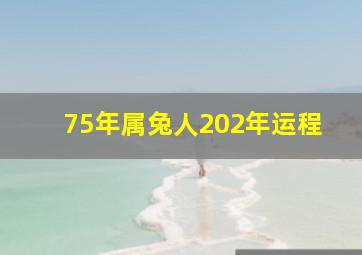 75年属兔人202年运程