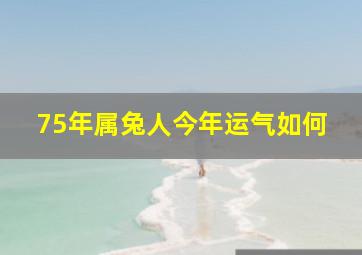 75年属兔人今年运气如何