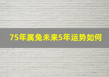 75年属兔未来5年运势如何