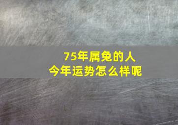 75年属兔的人今年运势怎么样呢