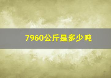 7960公斤是多少吨