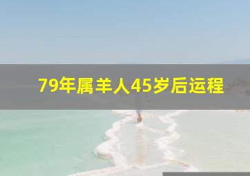 79年属羊人45岁后运程