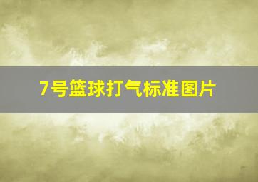 7号篮球打气标准图片