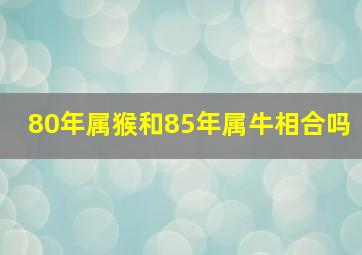 80年属猴和85年属牛相合吗