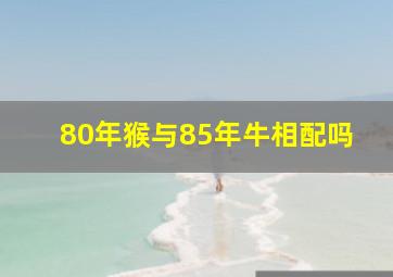 80年猴与85年牛相配吗