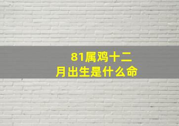 81属鸡十二月出生是什么命