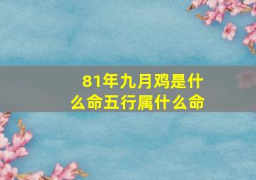 81年九月鸡是什么命五行属什么命