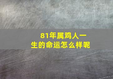 81年属鸡人一生的命运怎么样呢