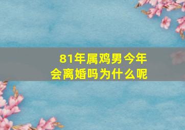 81年属鸡男今年会离婚吗为什么呢