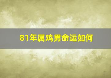 81年属鸡男命运如何