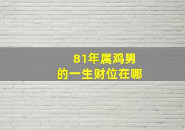 81年属鸡男的一生财位在哪