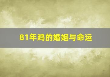 81年鸡的婚姻与命运