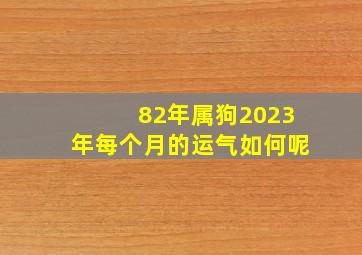 82年属狗2023年每个月的运气如何呢