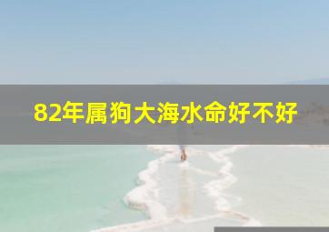 82年属狗大海水命好不好