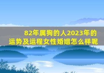 82年属狗的人2023年的运势及运程女性婚姻怎么样呢