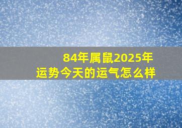 84年属鼠2025年运势今天的运气怎么样