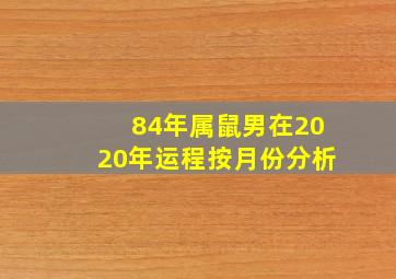 84年属鼠男在2020年运程按月份分析