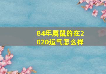 84年属鼠的在2020运气怎么样