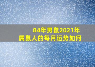 84年男鼠2021年属鼠人的每月运势如何