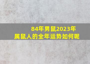 84年男鼠2023年属鼠人的全年运势如何呢