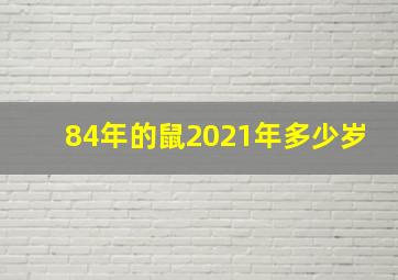 84年的鼠2021年多少岁