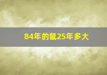 84年的鼠25年多大