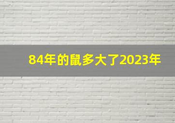 84年的鼠多大了2023年