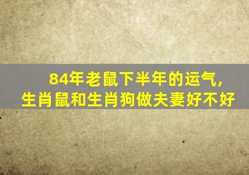 84年老鼠下半年的运气,生肖鼠和生肖狗做夫妻好不好