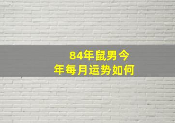 84年鼠男今年每月运势如何