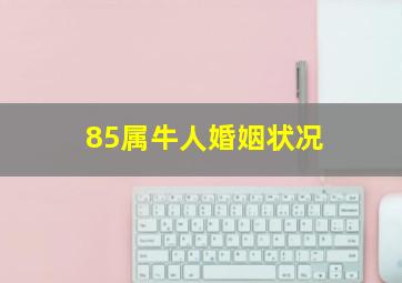 85属牛人婚姻状况