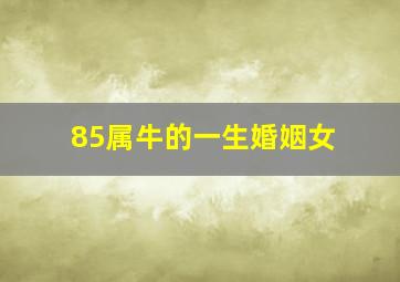 85属牛的一生婚姻女