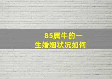 85属牛的一生婚姻状况如何