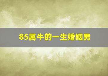 85属牛的一生婚姻男