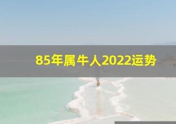 85年属牛人2022运势