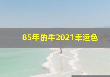 85年的牛2021幸运色