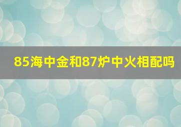 85海中金和87炉中火相配吗