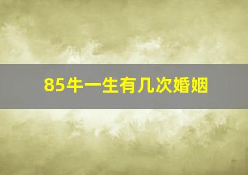 85牛一生有几次婚姻