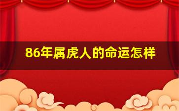 86年属虎人的命运怎样